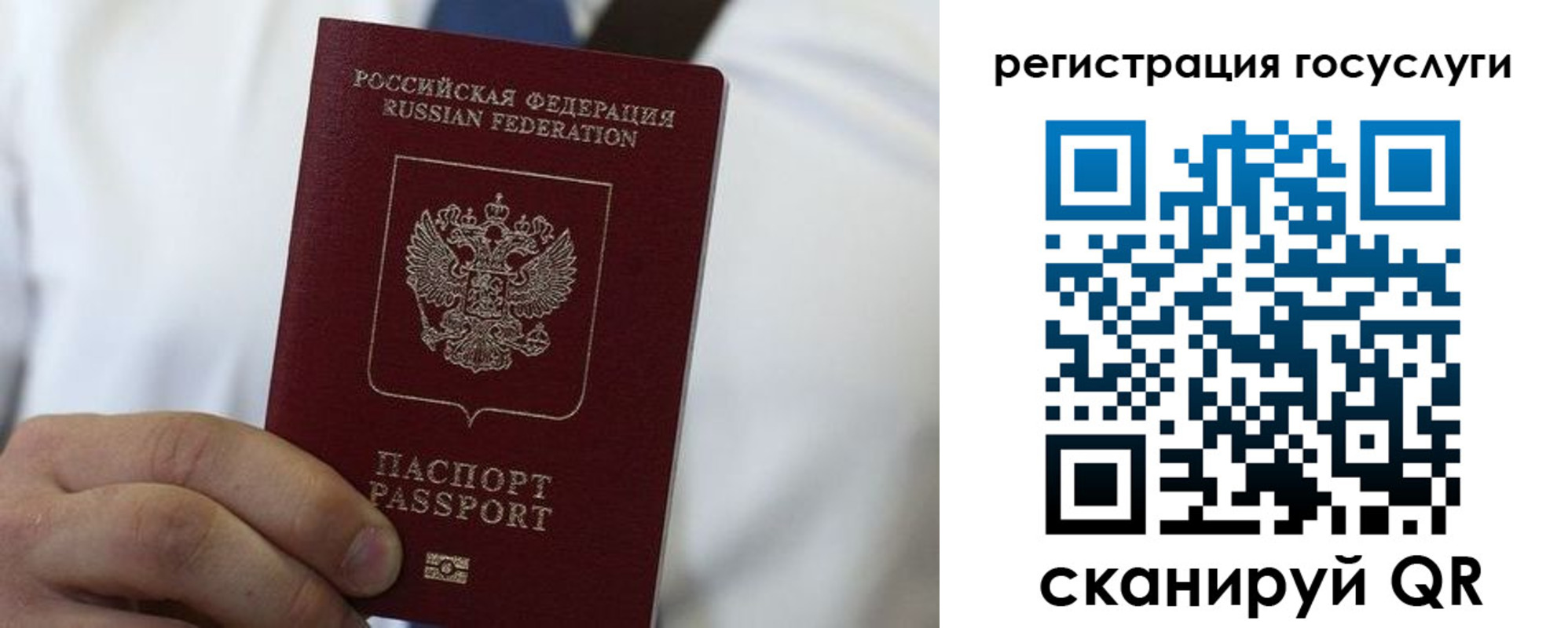прописка в Ростове
